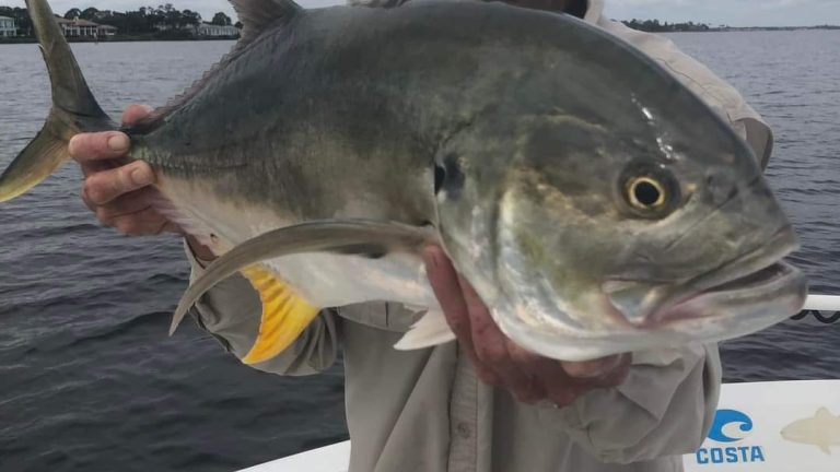 Snook & Spanish mackerel are bending rods for Treasure Coast anglers