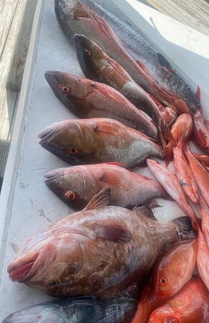 Snapper fishing was great on Oct. 24, 2022 aboard Floridian fishing charters with Capt. Glenn Cameron.
