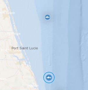 At least three white sharks pinged Thanksgiving week 2022 off Florida's Atlantic Coast.