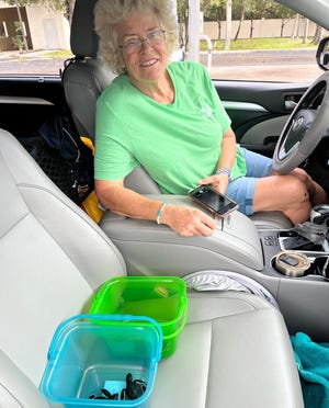 Sea turtle rescue volunteers transported several stranded hatchlings from Indian River County beaches to a rehabilitation facility at the Brevard Zoo following Hurricane Nicole in November 2022.