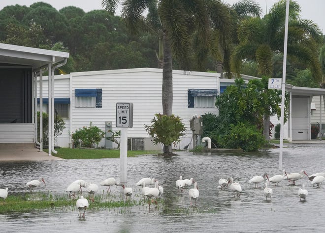 The St. Lucie River floods River Drive in the Riverland Mobile Home Park community, Wednesday, Nov. 9, 2022, in Stuart. Tropical Storm Nicole is expected to approach the Treasure Coast as a Category 1 Hurricane bringing tropical storm force winds to the area as it approaches by early afternoon and “near or above hurricane force” winds overnight, a meteorologist said.