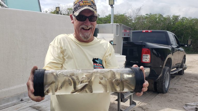 CCA Florida releases redfish in Indian River Lagoon, but one scientist decries restocking