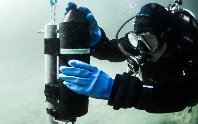 Underwater acoustic receivers help track the movements of tagged sharks, turtles and fish.