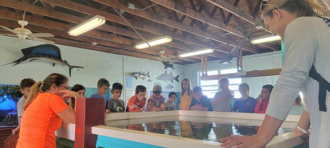 Students learn about marine organisms at the Environmental Studies Center in Jensen Beach.