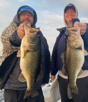 Good bass fishing Nov. 20, 2022 with Capt. Butch Butler on Lake Okeechobee.