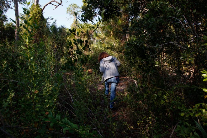 Gerry-Anna Jones, of Sebastian, surveys the North Sebastian Conservation Area for gopher tortoises on Friday, Dec. 16, 2022. Jones started a Facebook group a year ago called the Tortoise Team of Indian River County after seeing injured tortoises on the roads.