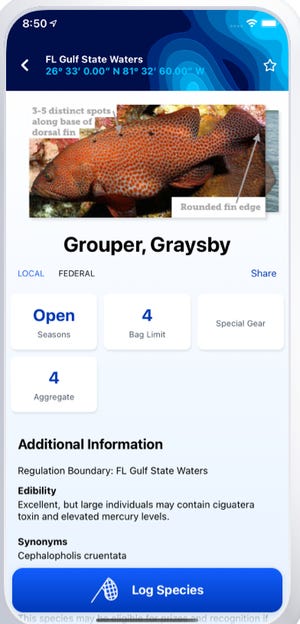 The Fish Rules app gives you all the basics on any fish you might catch in any given area, both fresh and saltwater.