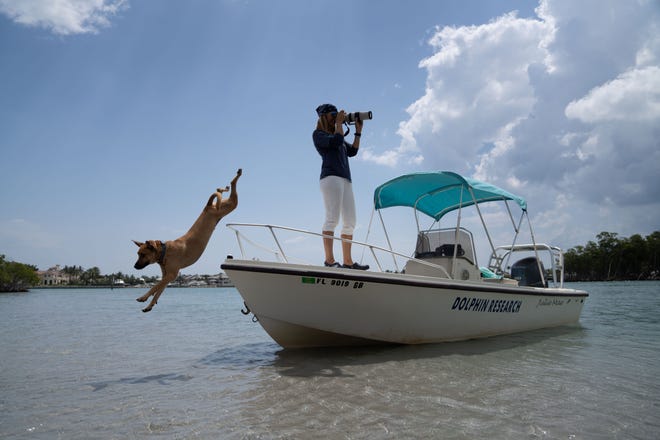 Nic Mader of Stuart uses this boat to photograph and identify dolphin families who live in the Indian River Lagoon.