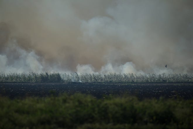 Smoke form cane burns near State Road 80 in central Palm Beach County on Friday, December 18, 2020.