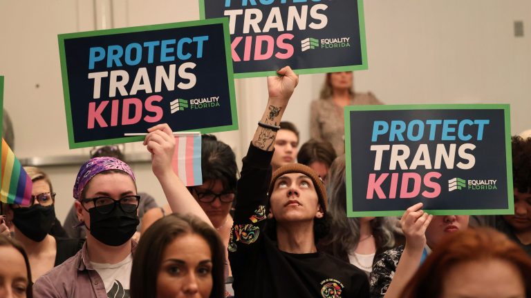 Before vote to ban trans youth healthcare, Florida doctor board skewed comment toward allies