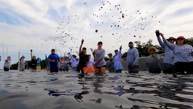 The city of Satellite Beach initiated a project to restore a "mosaic" of habitat off Samsons Island. They are pictured here, along with volunteers and others, tossing baby clams into the Indian River Lagoon on April 27, 2021.