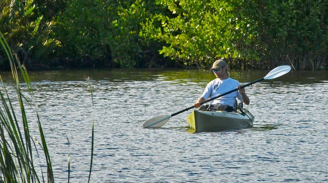 A crew from Sea & Shoreline Aquatic Restoration and Fish and Wildlife Foundation of Florida, seen here in mid November 2022, were at Goode Park on Turkey Creek in Palm Bay. They are working on a series of projects in the Indian River Lagoon tributaries, to restore meadows of seagrass and submerged aquatic vegetation. They put more than 100 temporary cages over the plants so they can grow stronger