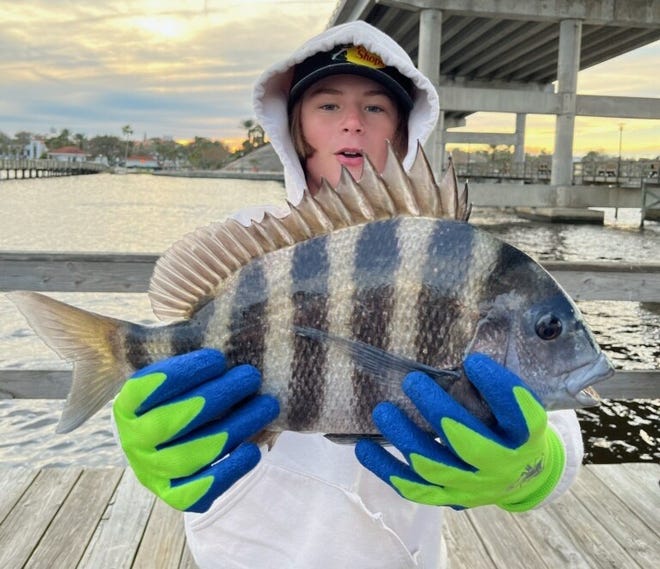 You can find sheepshead along the pier pilings behind Ike Leary's Granada Bait & Tackle in Ormond Beach.