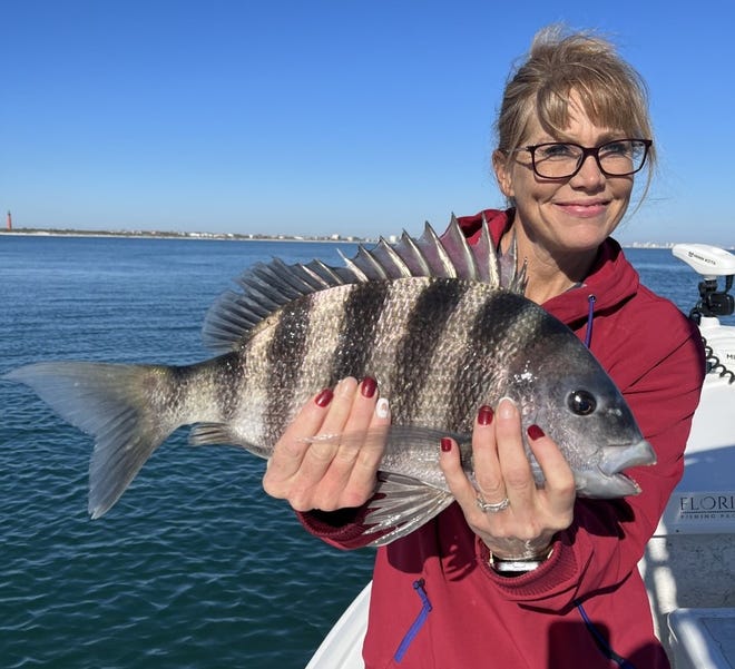 Capt. Jamie Thrappas put this happy customer on a school of sheepshead this week.