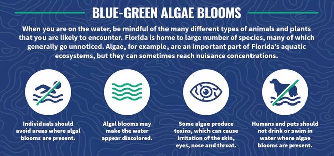 Informational sign about blue-green algae blooms developed by the Florida Department of Environmental Protection