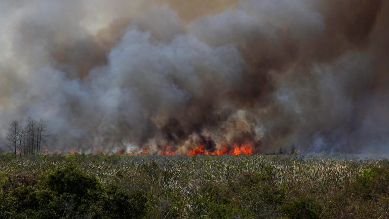 6,200 acre prescribed marsh burn set at southwest IRC conservation area