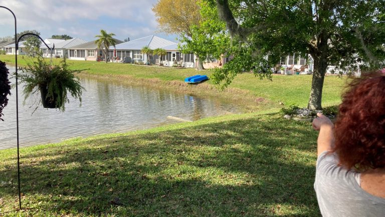 ‘I saw the gator grab her,’ woman says after neighbor dies in alligator incident