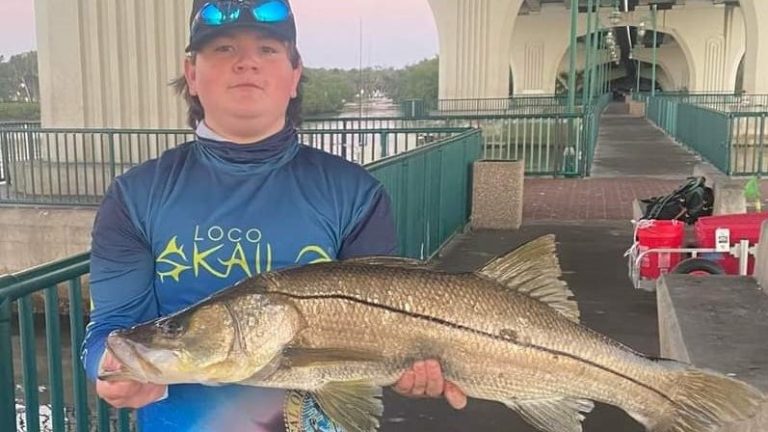 Treasure Coast fishing: Snook open for harvest; where, how to catch the fish