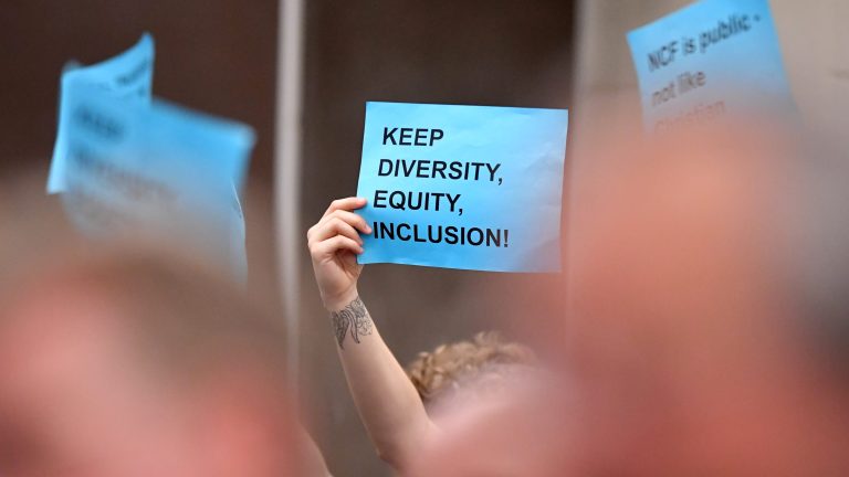 Florida universities were told to prioritize diversity plans. Now, DeSantis aims to gut them