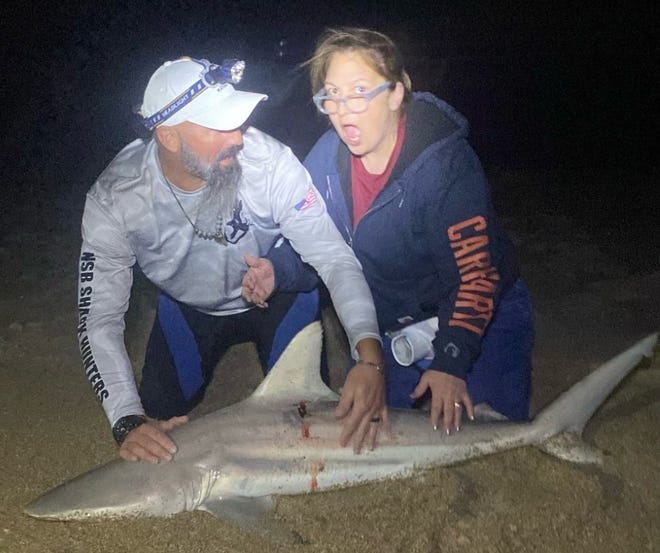 That's Tricia, from Washington state, seemingly realizing why Dustin Smith and NSB Shark Hunters earned their name.