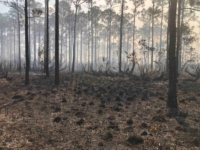 A wildfire erupted at John C. and Mariana Jones/Hungryland Wildlife and Environmental Area March 23, 2023.