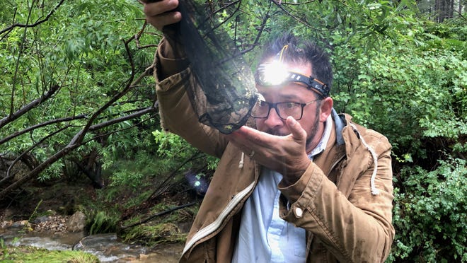 Lawrence Reeves, UF mosquito researcher