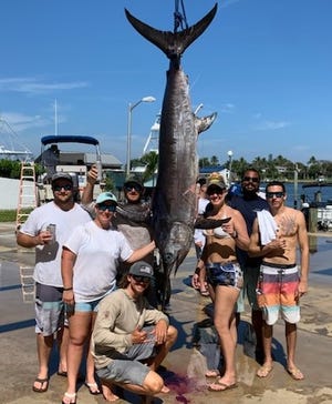 The crew of Making Friends of Stuart weighed a 230.5 pound swordfish caught Feb. 25, 2023 and weighed at Pirates Cove Resort & Marina in Port Salerno.