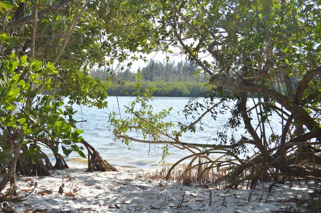 The dog sought by police in an ongoing rescue effort is thought to have swam from Veterans Memorial Island Sanctuary on Friday Feb. 24, 2023 to the island in the Indian River Lagoon pictured here on Feb. 27.