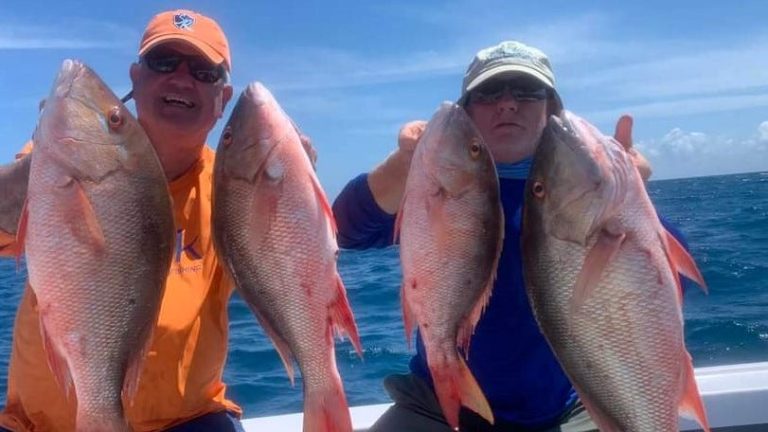 Florida fishing: Bass, trout, dolphin, snook are top catches for Treasure Coast anglers