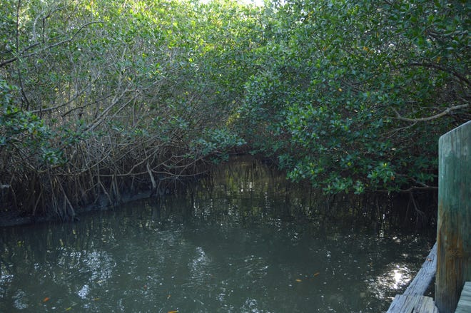 A canoe launch in the Oslo Riverfront Conservation Area was the closest accessible point by land to the location where law enforcement officials said the remains of Assunta "Suzy" Tomassi were found March 3, 2023.