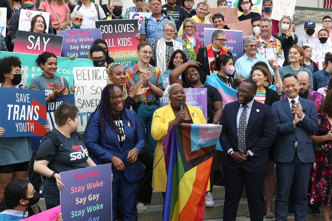 Rep. Michelle K. Rayner-Goolsby speaks on the steps of the Historic Capitol Monday morning to protest the House Bill 1557, also known as the "Don't Say Gay" bill by critics.