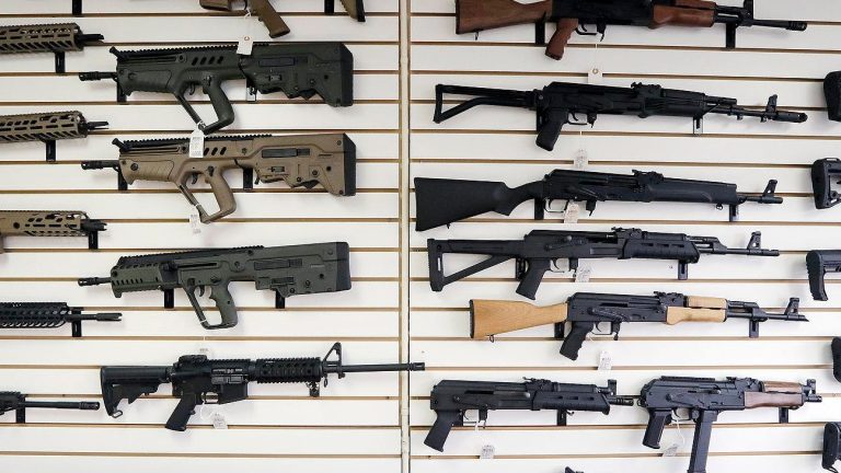 Florida Republicans look to reverse post-Parkland school shooting measure, lower limit to buy rifles, long guns
