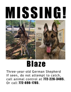 The new owner of the German shepherd saved from an Indian River Lagoon island in February said she printed hundreds of these flyers with instructions how to help find Blaze after he escaped from a fenced area only hours after his adoption from a shelter on March 16, 2023.