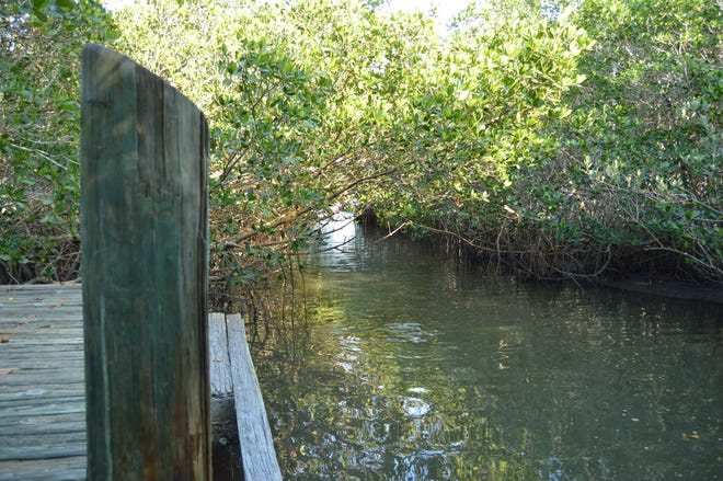 A canoe launch in the Oslo Riverfront Conservation Area was the closest accessible point by land to the location where law enforcement officials said the remains of Assunta "Suzy" Tomassi were found March 3, 2023.