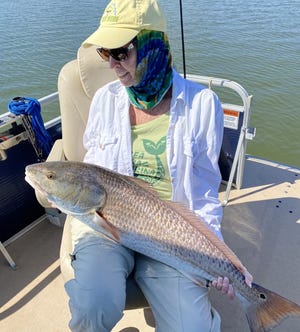 Art Mowery's wife, Robbie, had to go to the lap with a 43-inch redfish she caught this week with a live shrimp.