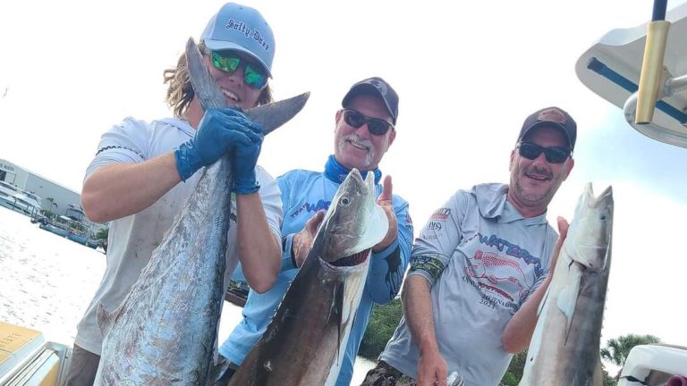 Florida fishing: Kingfish and cobia are driving offshore action; snook inshore