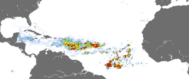 Satellite image of sargassum bloom in February 2023. The deeper reds and oranges indicate higher amounts.