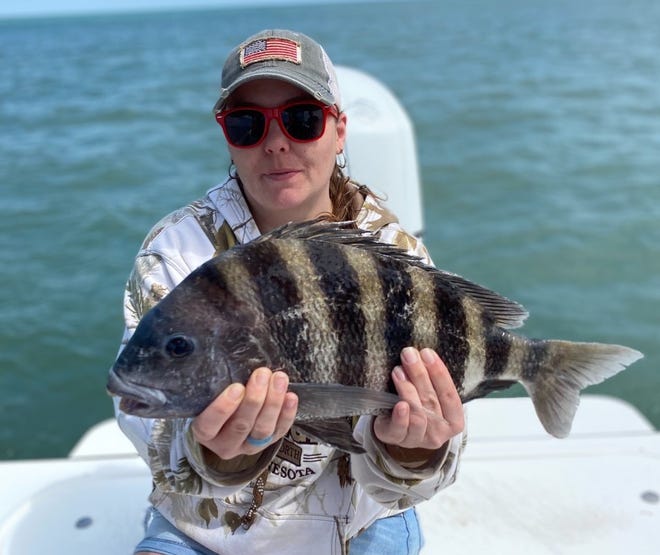 Stephanie Anderson, a regular on Capt. Jeff Patterson's Pole Dancer, shows off a nice sheepshead.