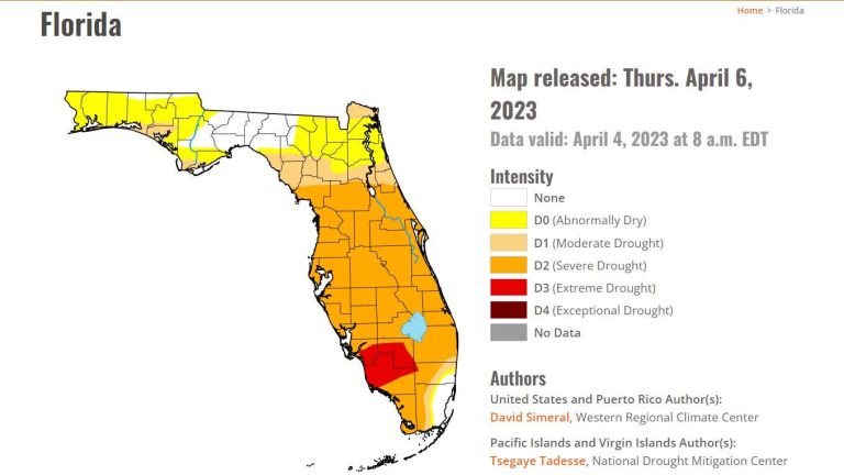 2023: Driest, hottest year on record for West Palm Beach